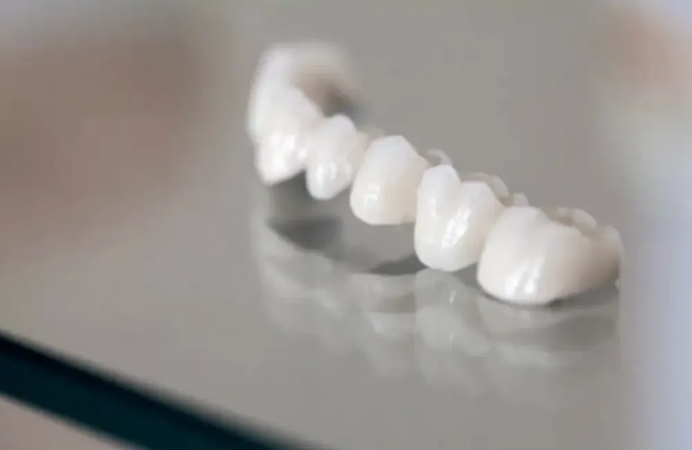 Teeth